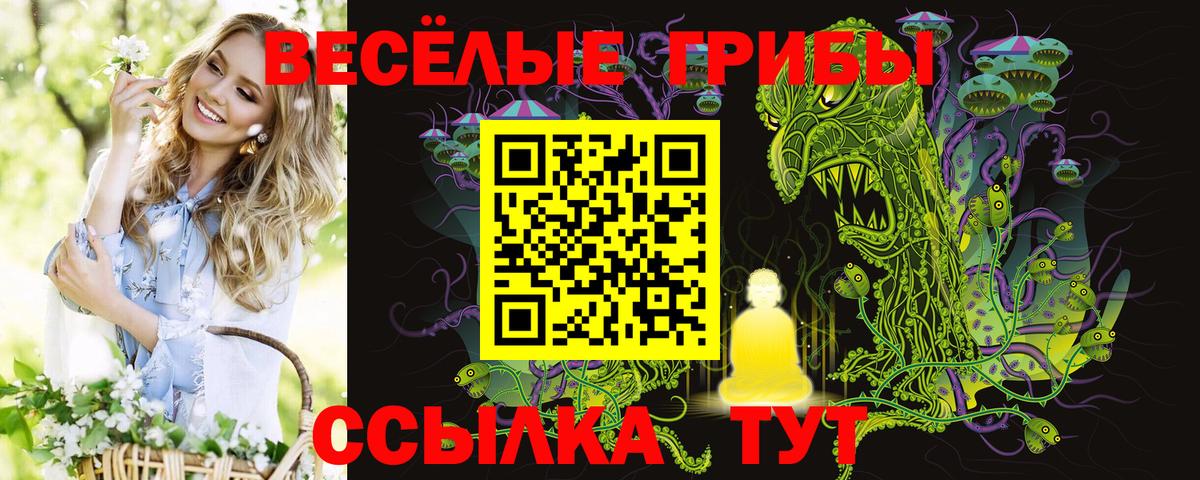 Псилоцибиновые грибы ЛСД Амурск